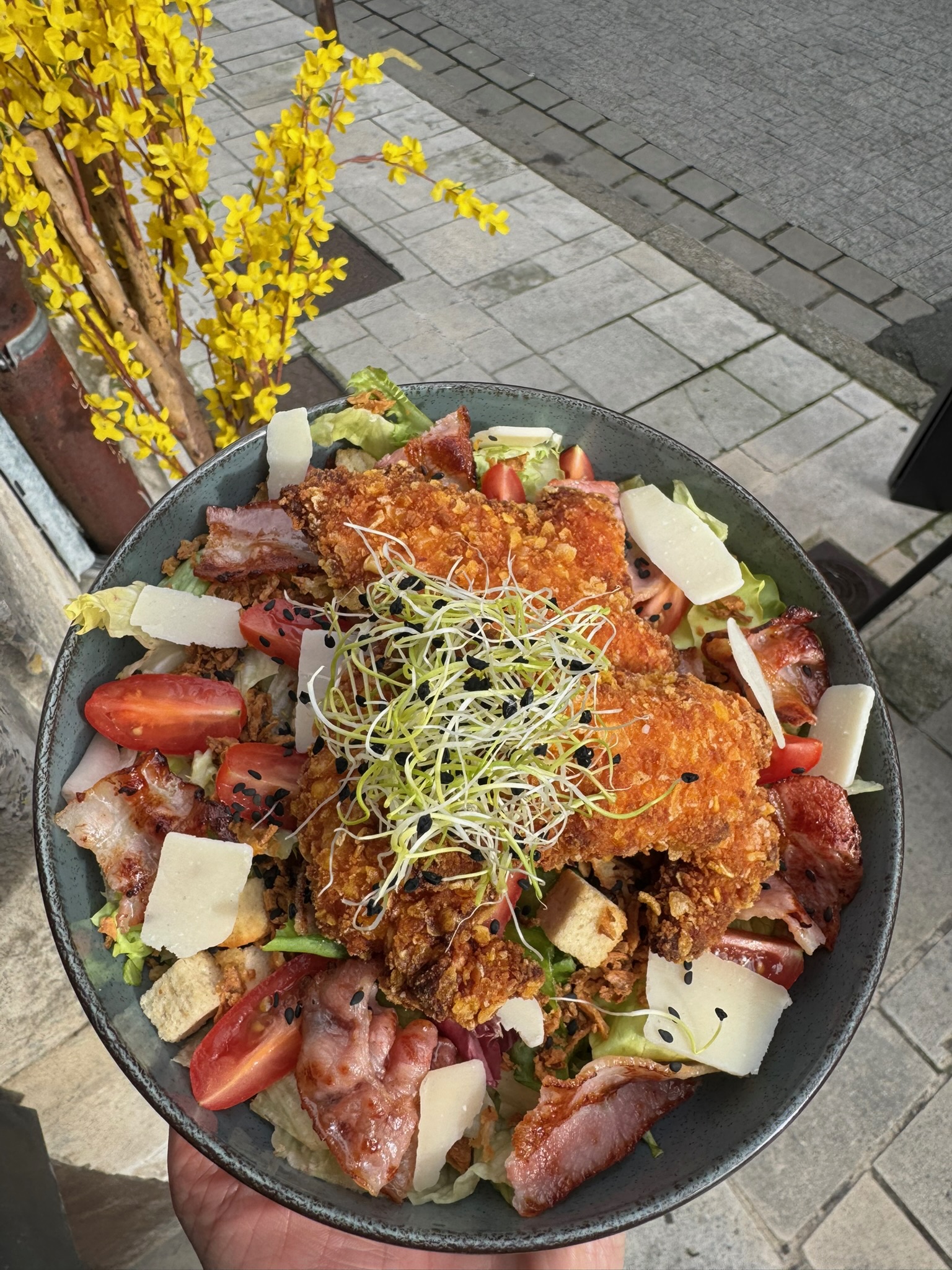 Accueil 68d3d844 e08f 44ba 8304 0c4546ead9da